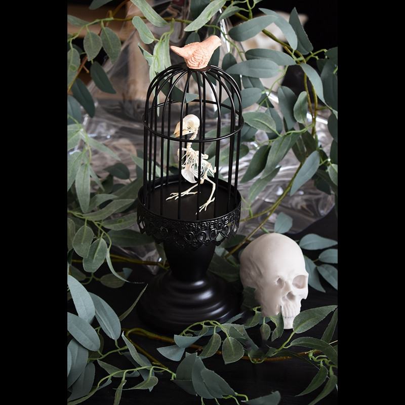 2040 Boutique series Gothic Aviary Skeletal Art Victorian Ornithology Shadowbox Articulated Bone Configuration Artisan Ossuary Bird