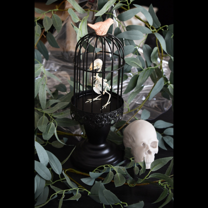 2040 Boutique series Gothic Aviary Skeletal Art Victorian Ornithology Shadowbox Articulated Bone Configuration Artisan Ossuary Bird