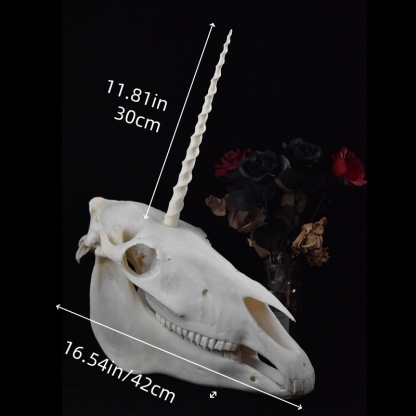 2124 Boutique series Original Unicorn Skull Bone Specimen Teaching Sculpture Animal Crafts Art Collectibles Desktop Ornament Brithday Gift