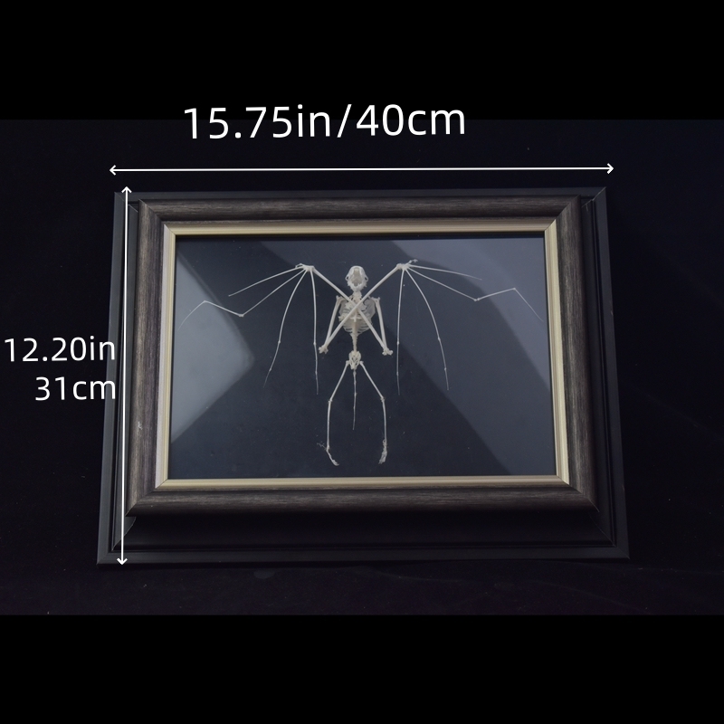 2126 Boutique series Bat Skeleton Art Wall Decor Gothic Home Display Frame Ethical Craft Non-Toxic Animal-Friendly Nocturnal Gothic Decor