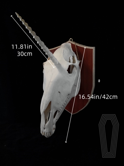 2124 Boutique series Original Unicorn Skull Bone Specimen Teaching Sculpture Animal Crafts Art Collectibles Desktop Ornament Brithday Gift