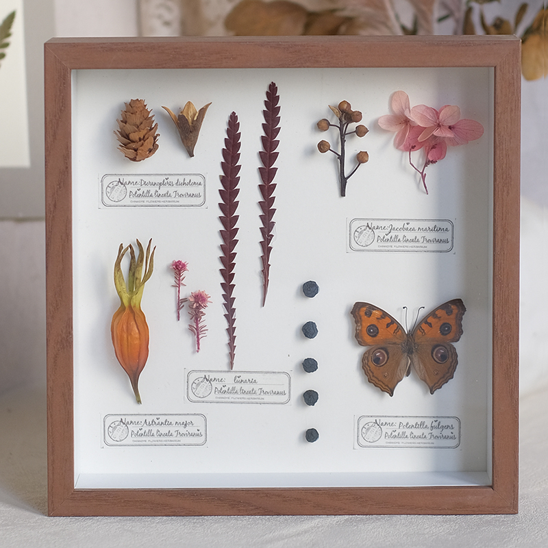 2097 Boutique series Butterfly Botanical Shadow Box Art Handmade 3D Framed Preserved Flowers Wall Decor Nature-Inspired Craft Original Gift Home