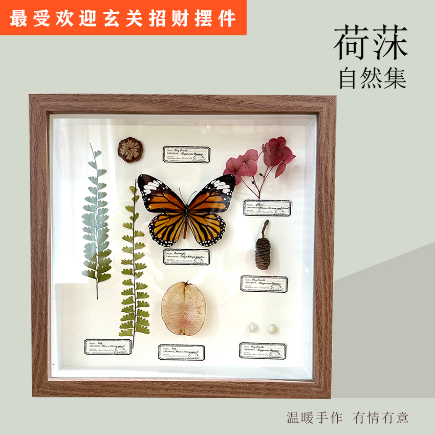 2087 Boutique series Vintage Butterfly Plant Specimen box Wall Art Handmade Aesthetic Home Decor Birthday Gift Wedding Christmas Party Supplies