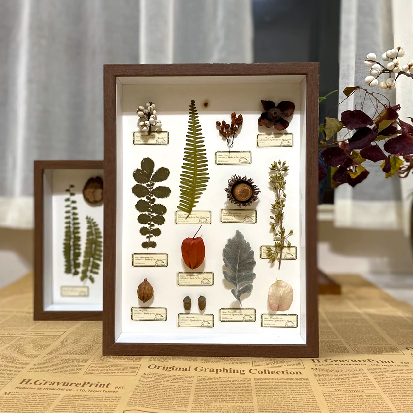 2087 Boutique series Vintage Butterfly Plant Specimen box Wall Art Handmade Aesthetic Home Decor Birthday Gift Wedding Christmas Party Supplies