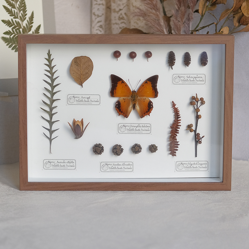 2097 Boutique series Butterfly Botanical Shadow Box Art Handmade 3D Framed Preserved Flowers Wall Decor Nature-Inspired Craft Original Gift Home