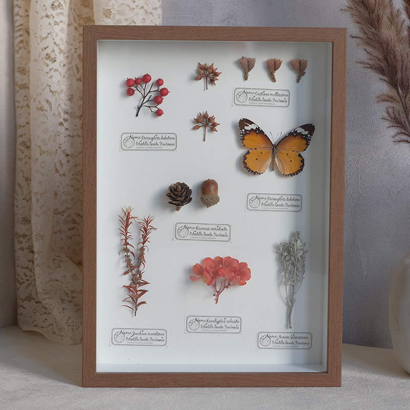 2097 Boutique series Butterfly Botanical Shadow Box Art Handmade 3D Framed Preserved Flowers Wall Decor Nature-Inspired Craft Original Gift Home