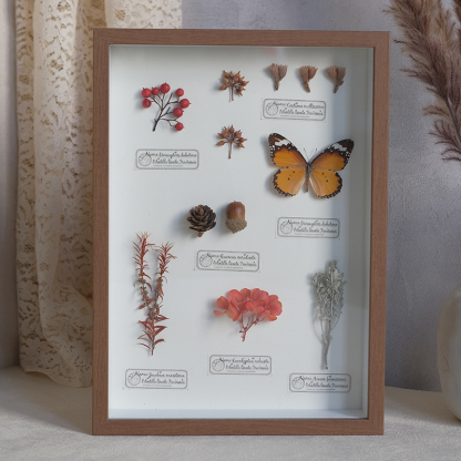 2097 Boutique series Butterfly Botanical Shadow Box Art Handmade 3D Framed Preserved Flowers Wall Decor Nature-Inspired Craft Original Gift Home