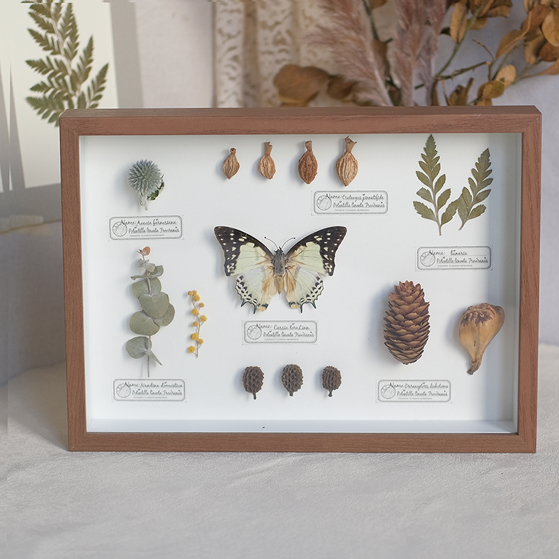 2097 Boutique series Butterfly Botanical Shadow Box Art Handmade 3D Framed Preserved Flowers Wall Decor Nature-Inspired Craft Original Gift Home