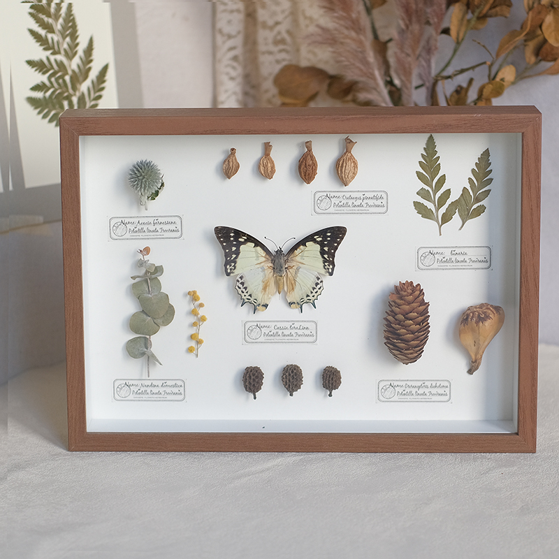 2097 Boutique series Butterfly Botanical Shadow Box Art Handmade 3D Framed Preserved Flowers Wall Decor Nature-Inspired Craft Original Gift Home