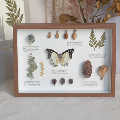 2097 Boutique series Butterfly Botanical Shadow Box Art Handmade 3D Framed Preserved Flowers Wall Decor Nature-Inspired Craft Original Gift Home