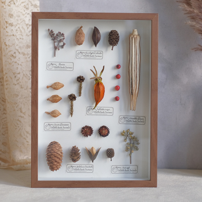 2097 Boutique series Butterfly Botanical Shadow Box Art Handmade 3D Framed Preserved Flowers Wall Decor Nature-Inspired Craft Original Gift Home