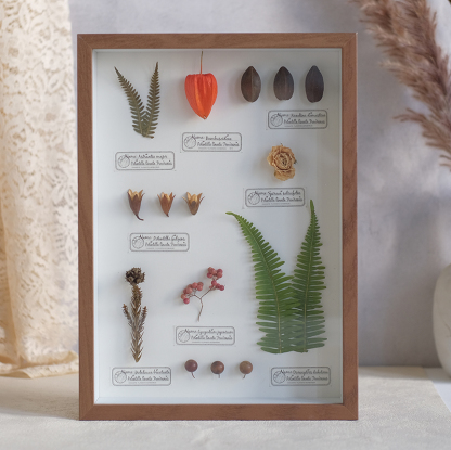 2097 Boutique series Butterfly Botanical Shadow Box Art Handmade 3D Framed Preserved Flowers Wall Decor Nature-Inspired Craft Original Gift Home
