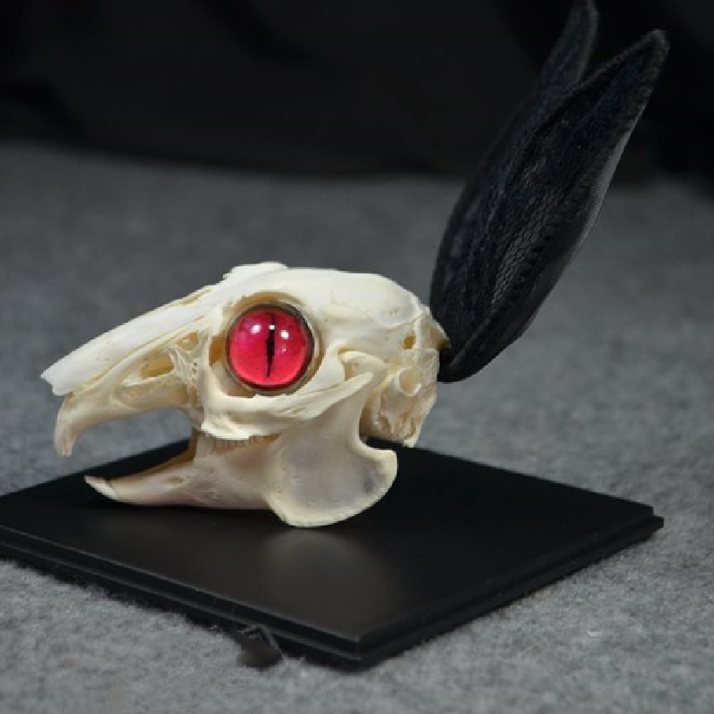 2000 Museum Rabbit Skull Replica Resin Cast Gothic Decor Dark Academia Study Non-Biological Specimen Ethical Taxidermy Art Curio