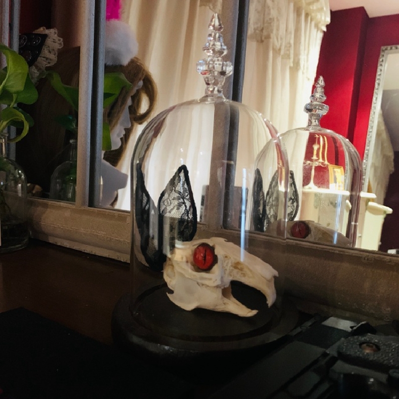 2000 Museum Rabbit Skull Replica Resin Cast Gothic Decor Dark Academia Study Non-Biological Specimen Ethical Taxidermy Art Curio