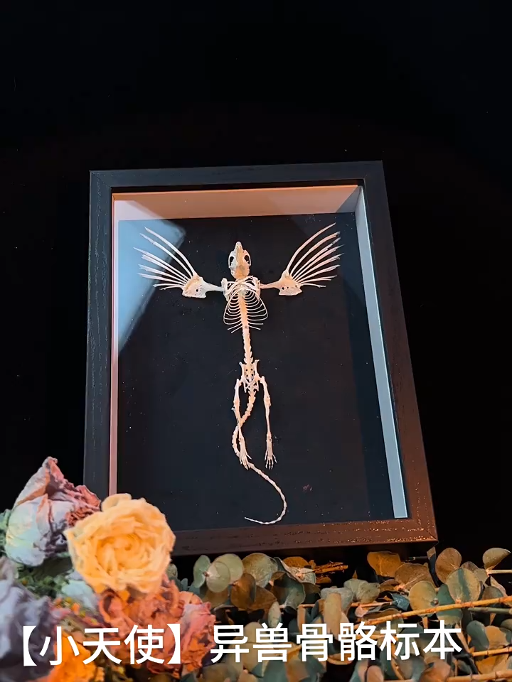 2005 Taxidermy Steampunk Mouse Skeleton Art Framed Shadowbox Fishbone Wing Flying Rodent Gothic Wall Decor Curio Cabinet Replica Oddity