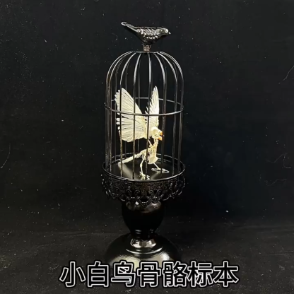 2001 Lifelike Avian Skeleton Replica Resin Cast Gothic Biology Study Non-Biological Specimen Dark Academia Decor Ethical