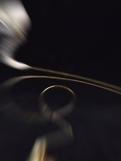 2111 Boutique series Ethical Bird Skull Art Sculpture Copper Accents Natural History Display Handcrafted Craft Museum Collector Gift