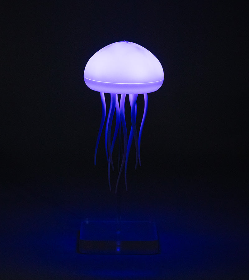 Jellyfish Night light-cool