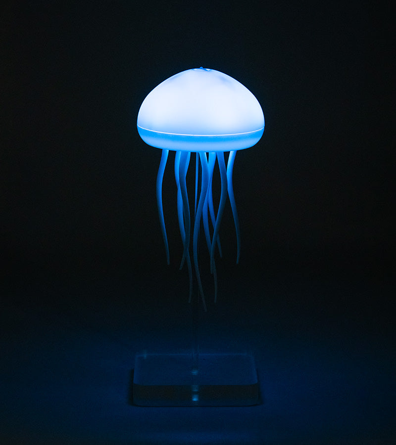 Jellyfish Night light-cool