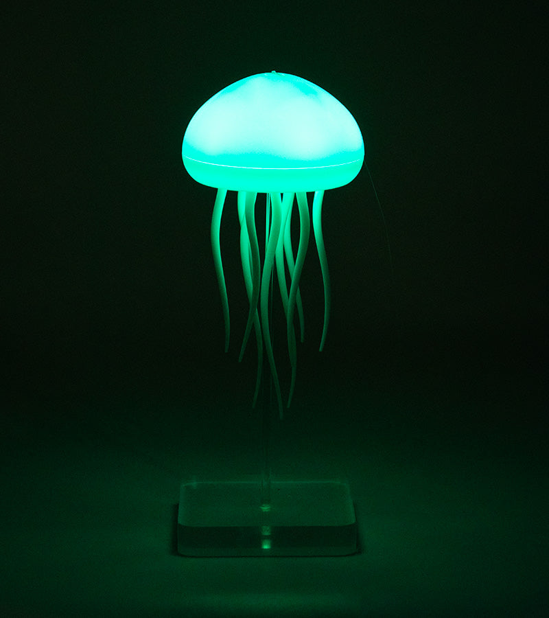 Jellyfish Night light-cool