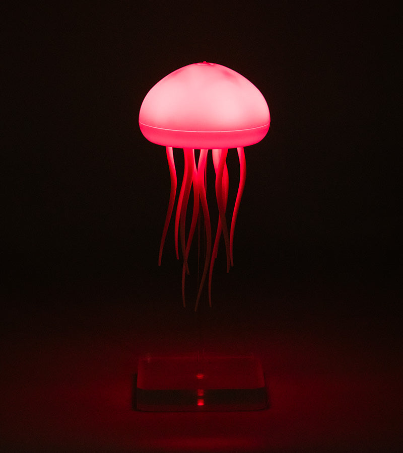 Jellyfish Night light-cool