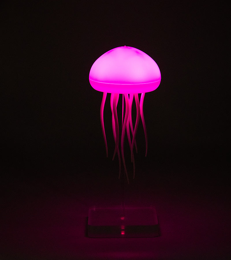 Jellyfish Night light-cool