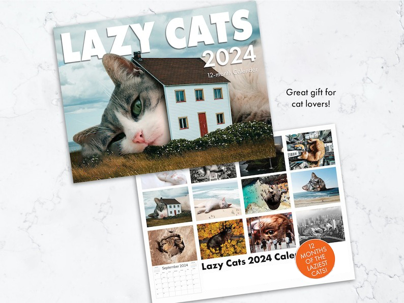 LAZY CAT CALENDAR 2024