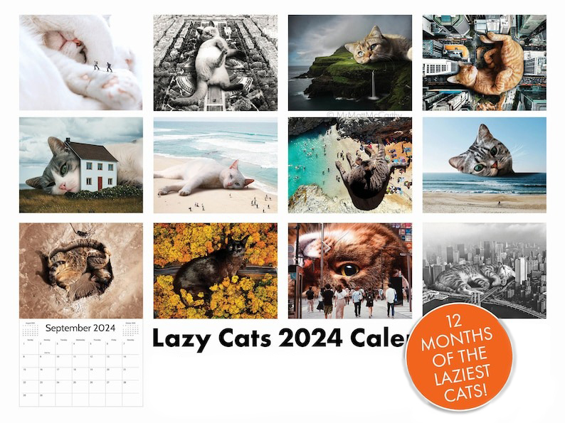 LAZY CAT CALENDAR 2024