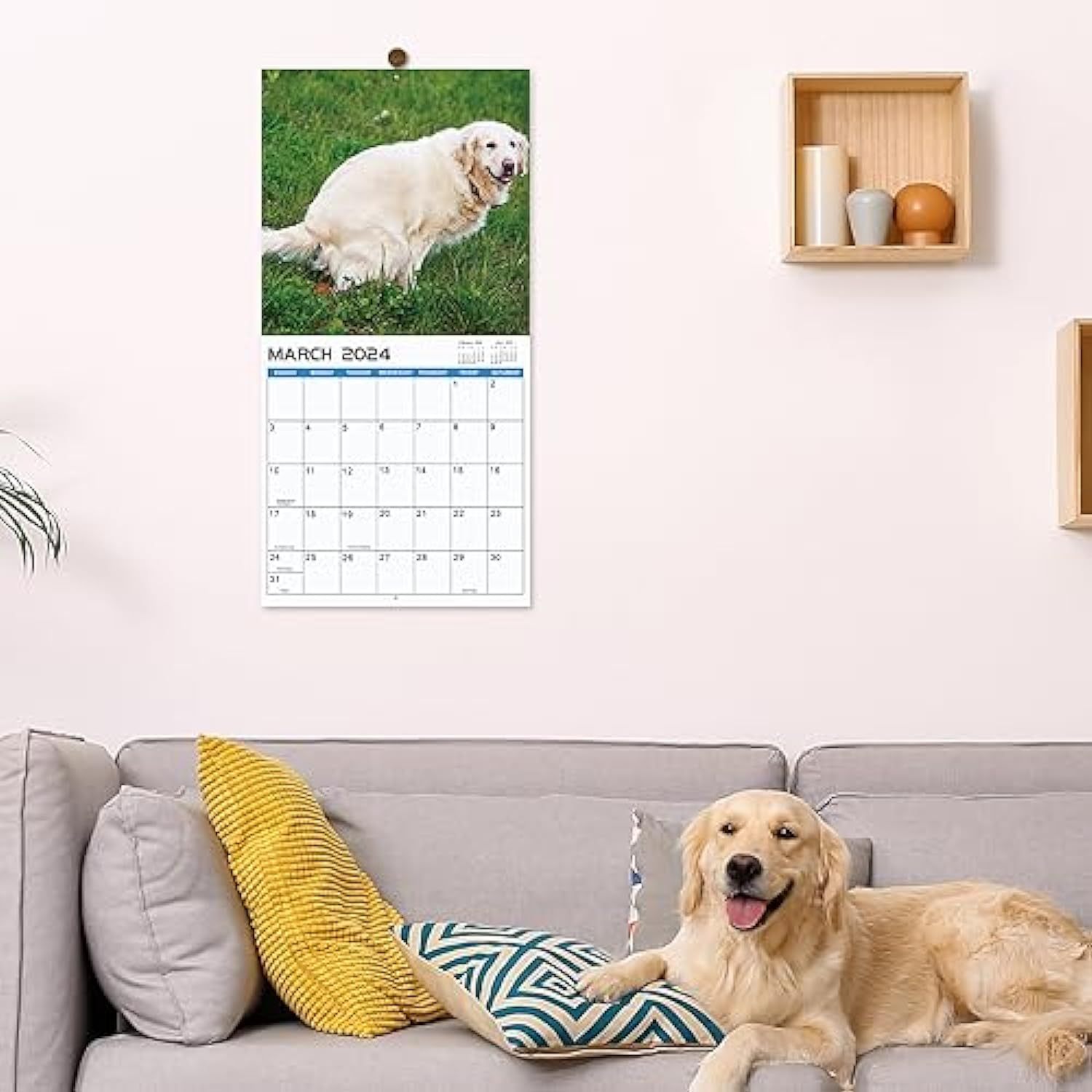 2024 Wall Calendar – 12 Monthly Pooping Dogs Calendar