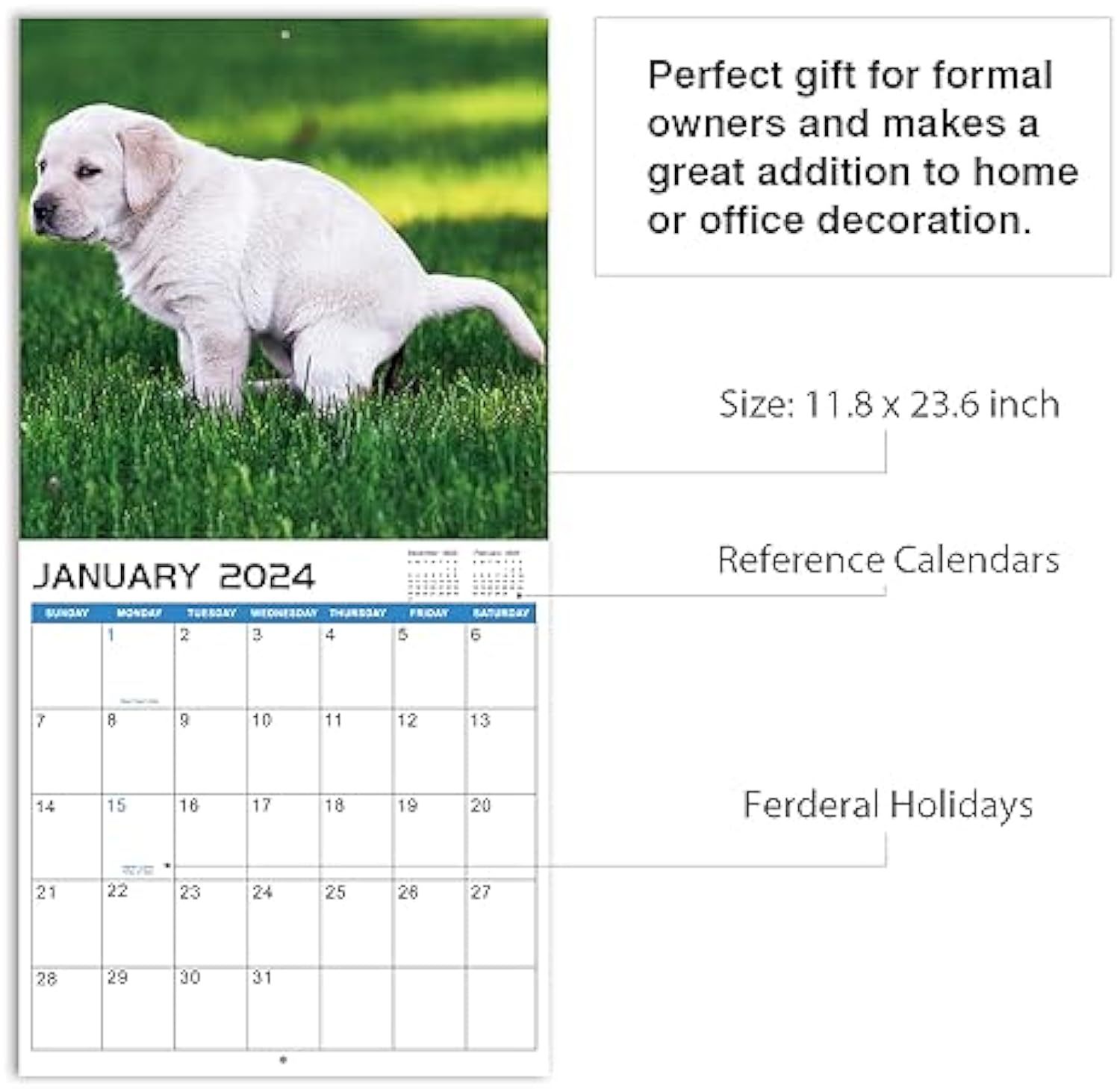 2024 Wall Calendar – 12 Monthly Pooping Dogs Calendar