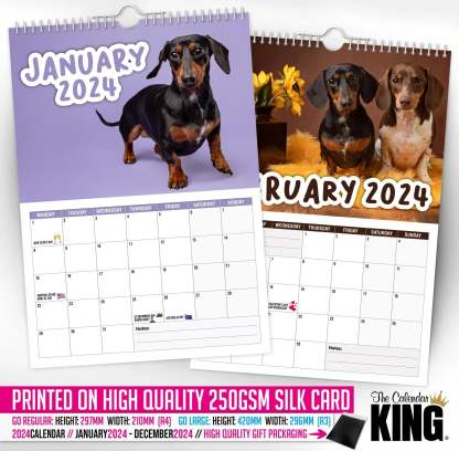🤣Cheeky Dachshunds - 2024 Wall Calendar