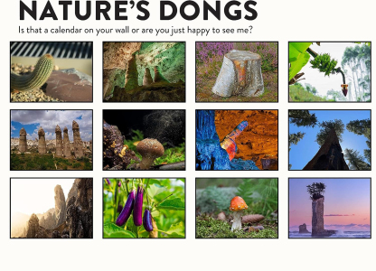 😆FUNNIEST CALENDAR OF THE CENTURY | 2024 Nature Funny Adult Shaped Pics Calendar