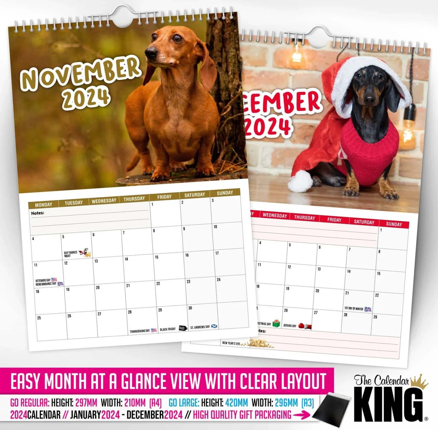 🤣Cheeky Dachshunds - 2024 Wall Calendar