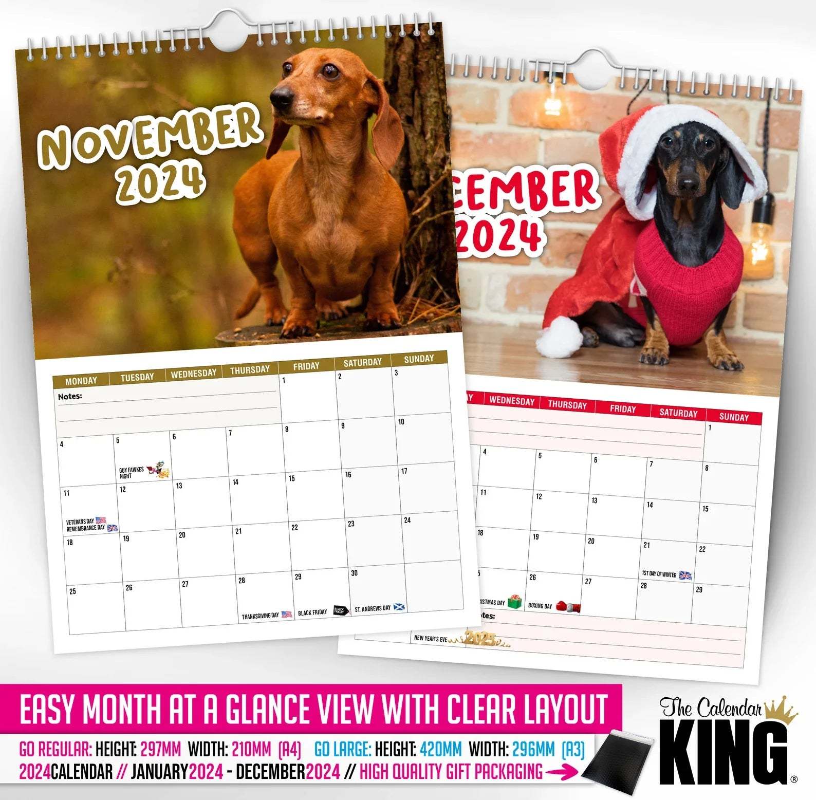 🤣Cheeky Dachshunds - 2024 Wall Calendar
