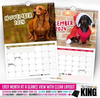 🤣Cheeky Dachshunds - 2024 Wall Calendar