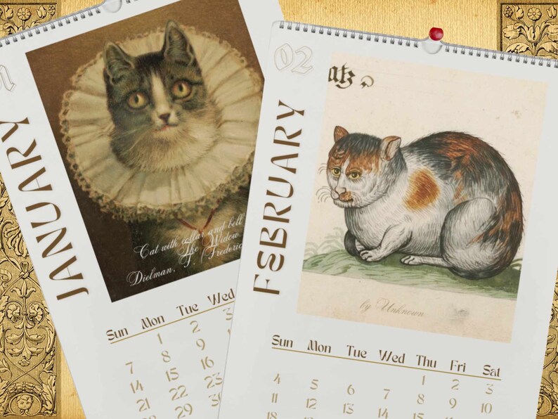 2024 Wall Hanging Calendar, Funny Art Novelty Gift