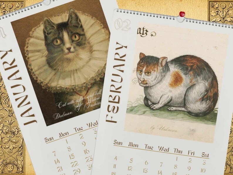 2024 Wall Hanging Calendar, Funny Art Novelty Gift