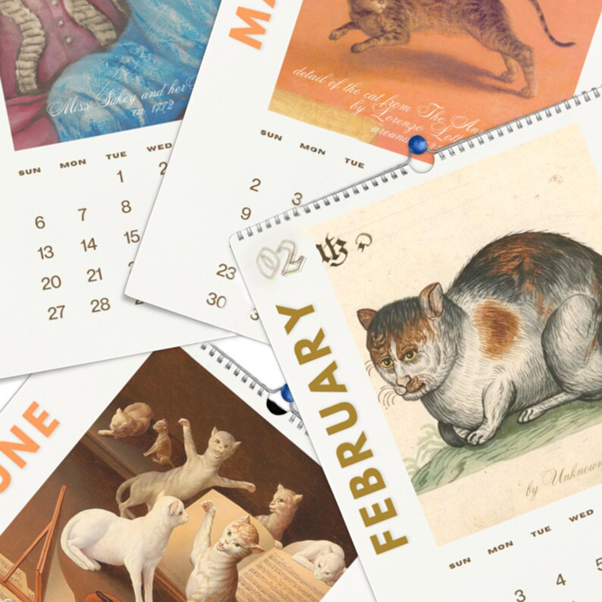 Christmas Presale 49% OFF✨2025 Wall Hanging Calendar, Funny Art Novelty Gift