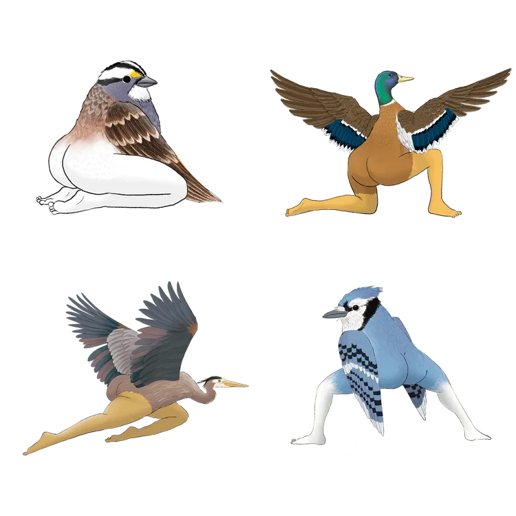 😆2024 CALENDAR OF EXTREMELY ACCURATE BIRDS