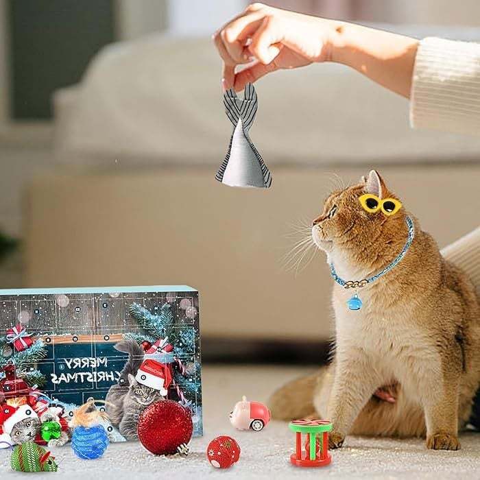 🎄Last 48 hours 70% OFF🎁2024 Christmas Countdown Cat&Dog Toys Advent Calendar🐾🥳3