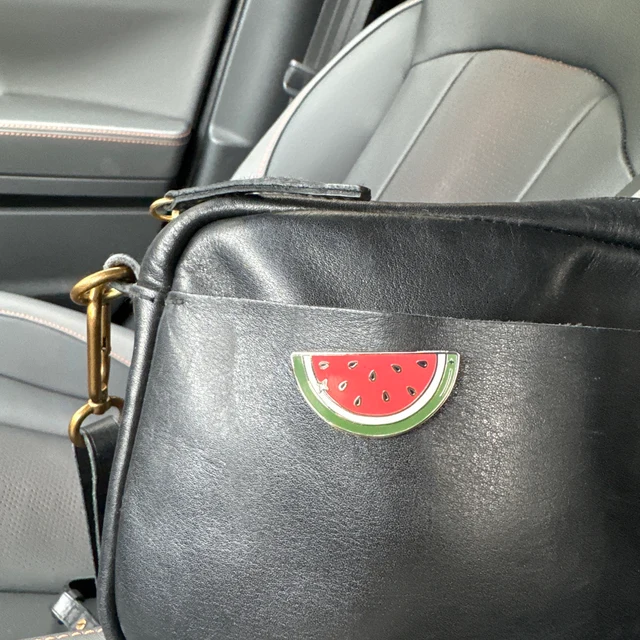 🍉Watermelon Enamel Pin