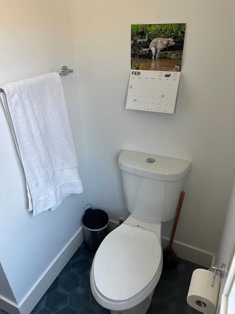 2025 Pooping Pooches Dog Calendar