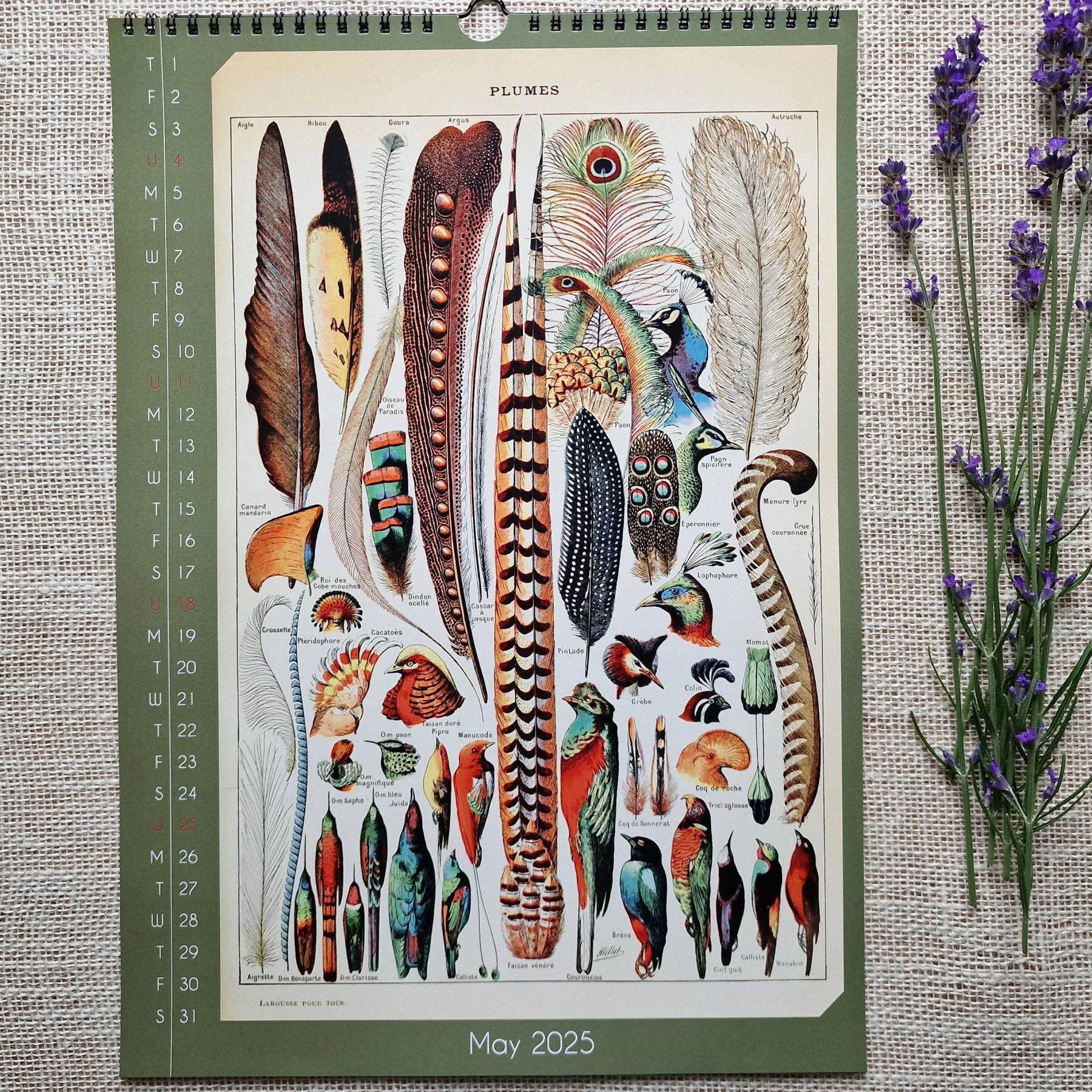 📅2025 Calendar Floral and Botanical