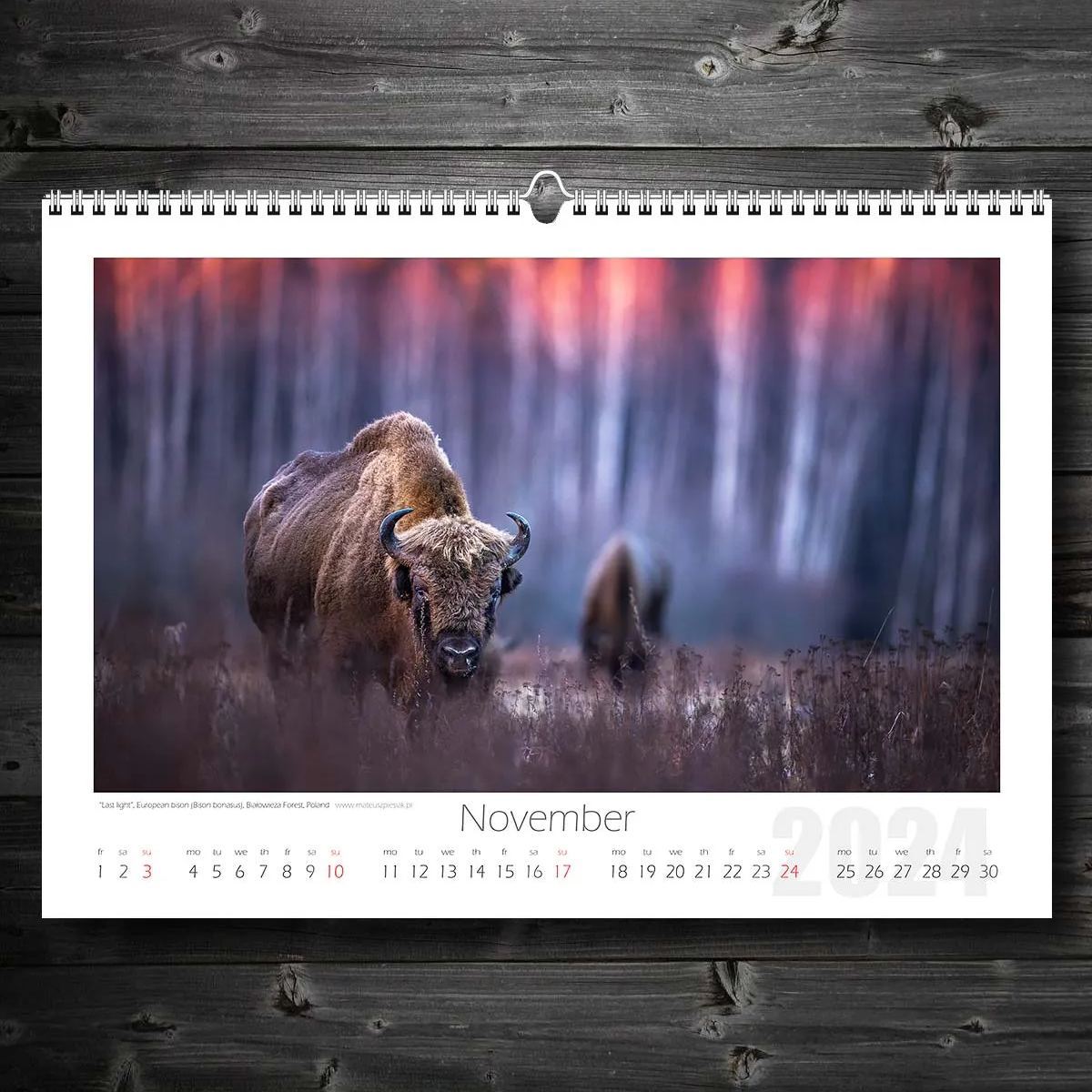 📅Wildlife Calendar 2024