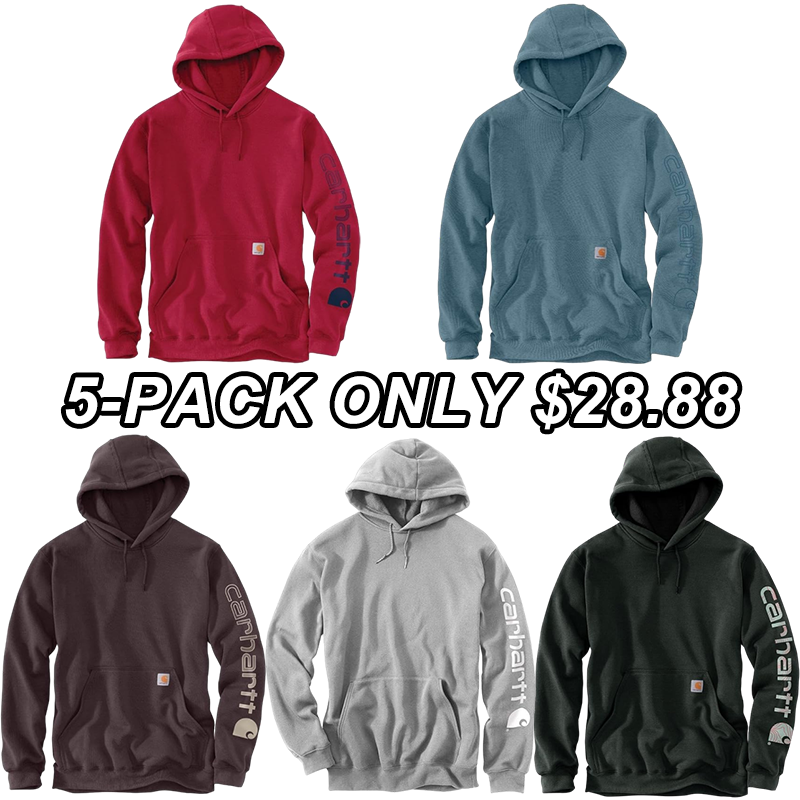 Carhartt Men's Midweight Signature Sleeve Logo Hooded Sweatshirt