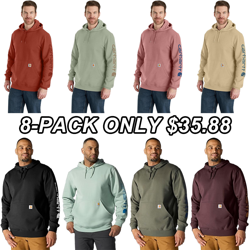 Carhartt Men's Midweight Signature Sleeve Logo Hooded Sweatshirt