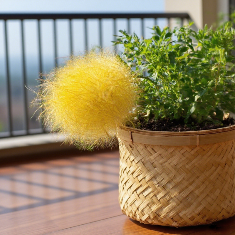Mix Color Prairie Smoke Flower,Geum Triflorum 