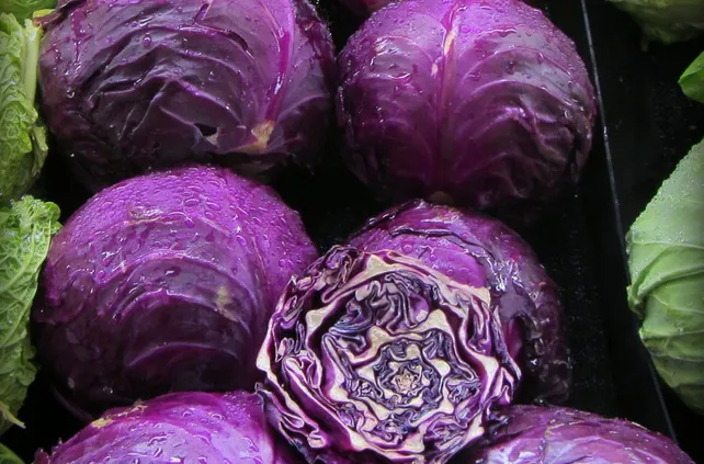 Food Security Seed Pack 10-Late Summer Starter Pack