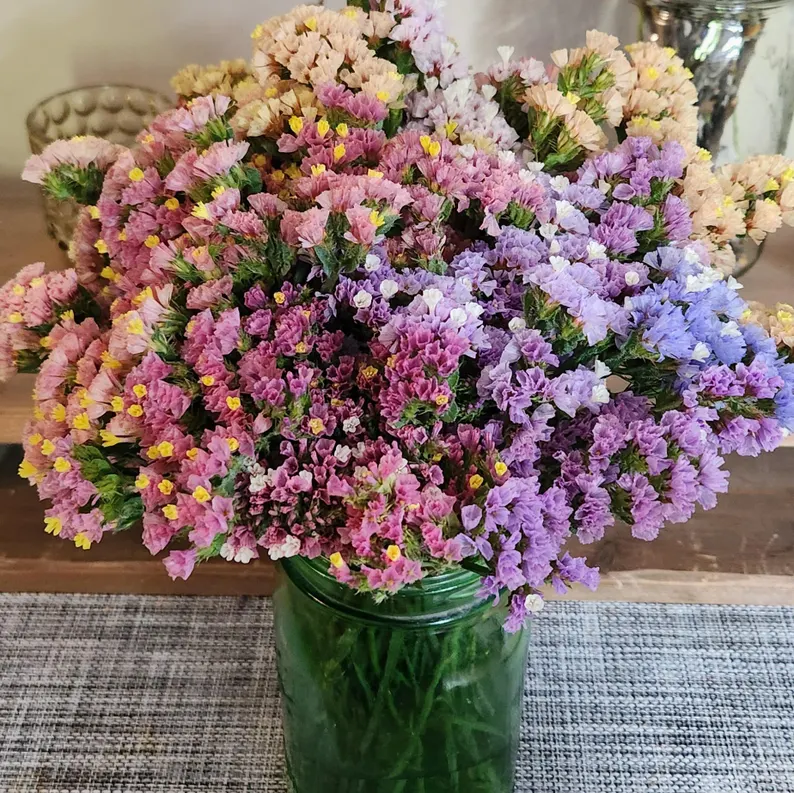 Starry Statice Seeds: Grow Your Own Celestial Garden