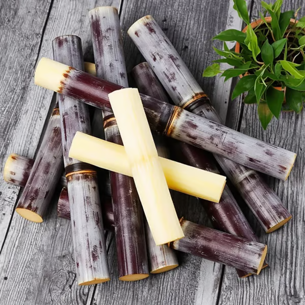 Sweet Harvest Starter Kit 🍃 Sugarcane Seeds